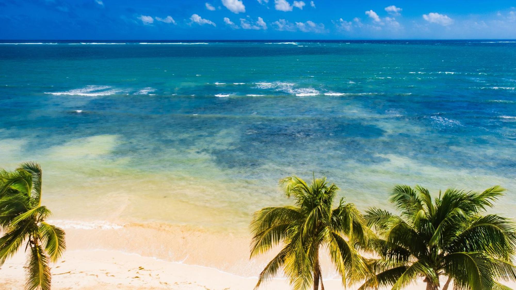 Palmar Beach Resort And Spa Riviera Maya Puerto Morelos Εξωτερικό φωτογραφία